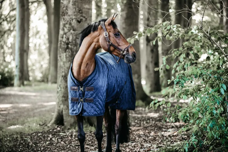 Kentucky Horsewear Stable Rug 0g Navy-1